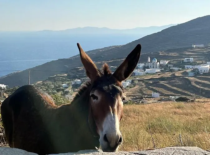 Sea Views - Marble Palace - 2 Floors Apartamento