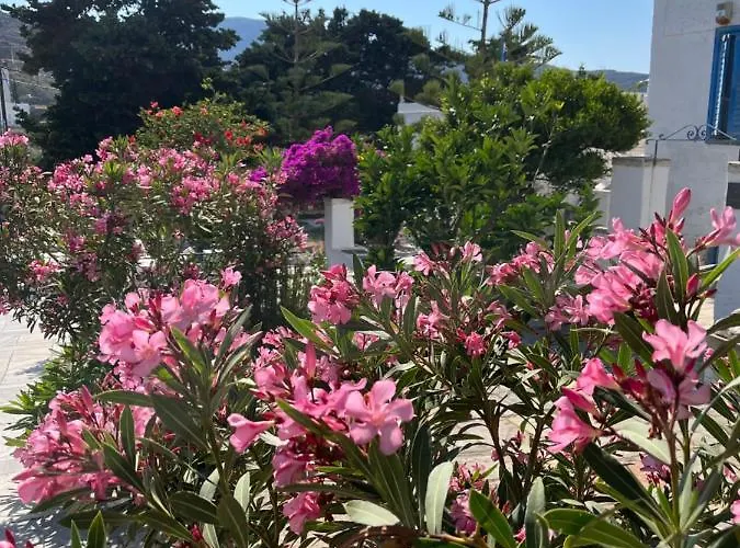 Apartamento Sea Views - Marble Palace - 2 Floors Tínos